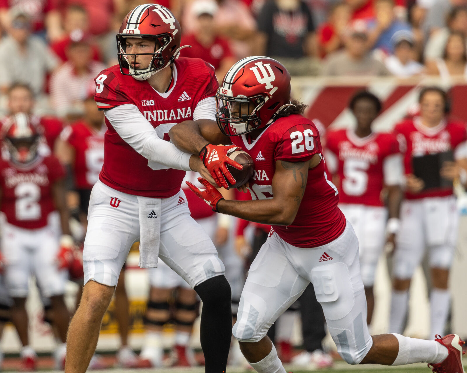 September 17, 2022_Football-IU vs Western Kentucky_by_Tony Vasquez_14_NUVO.jpg